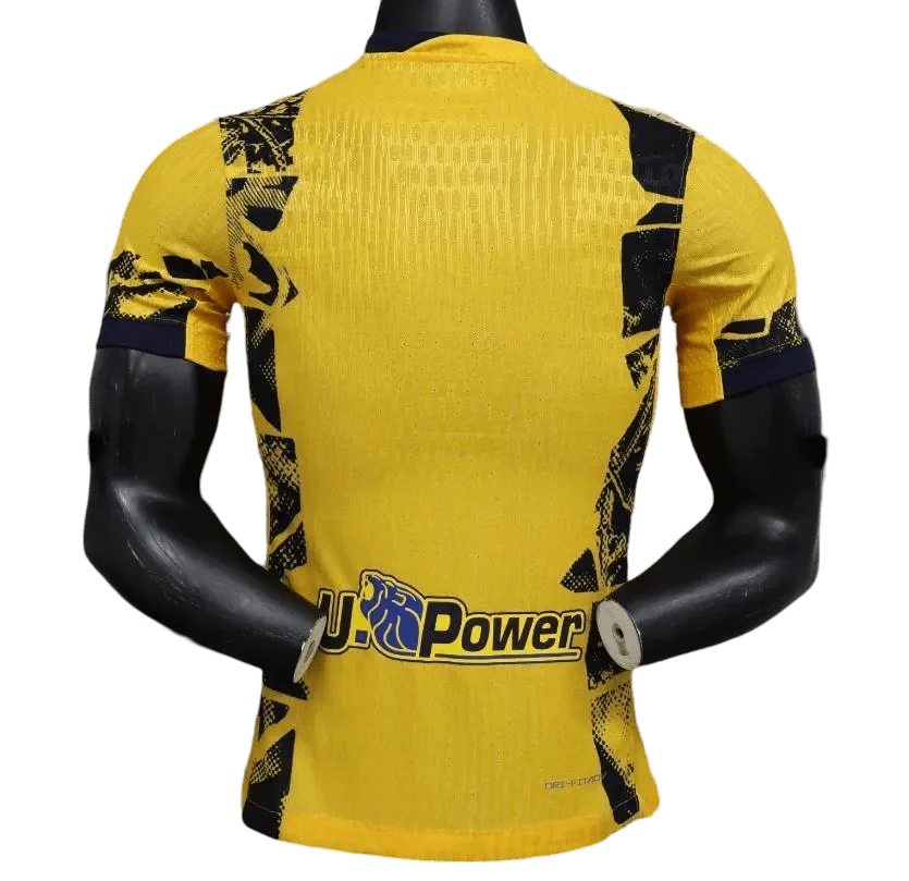 2024/2025 Inter Milan Third jersey - Player version