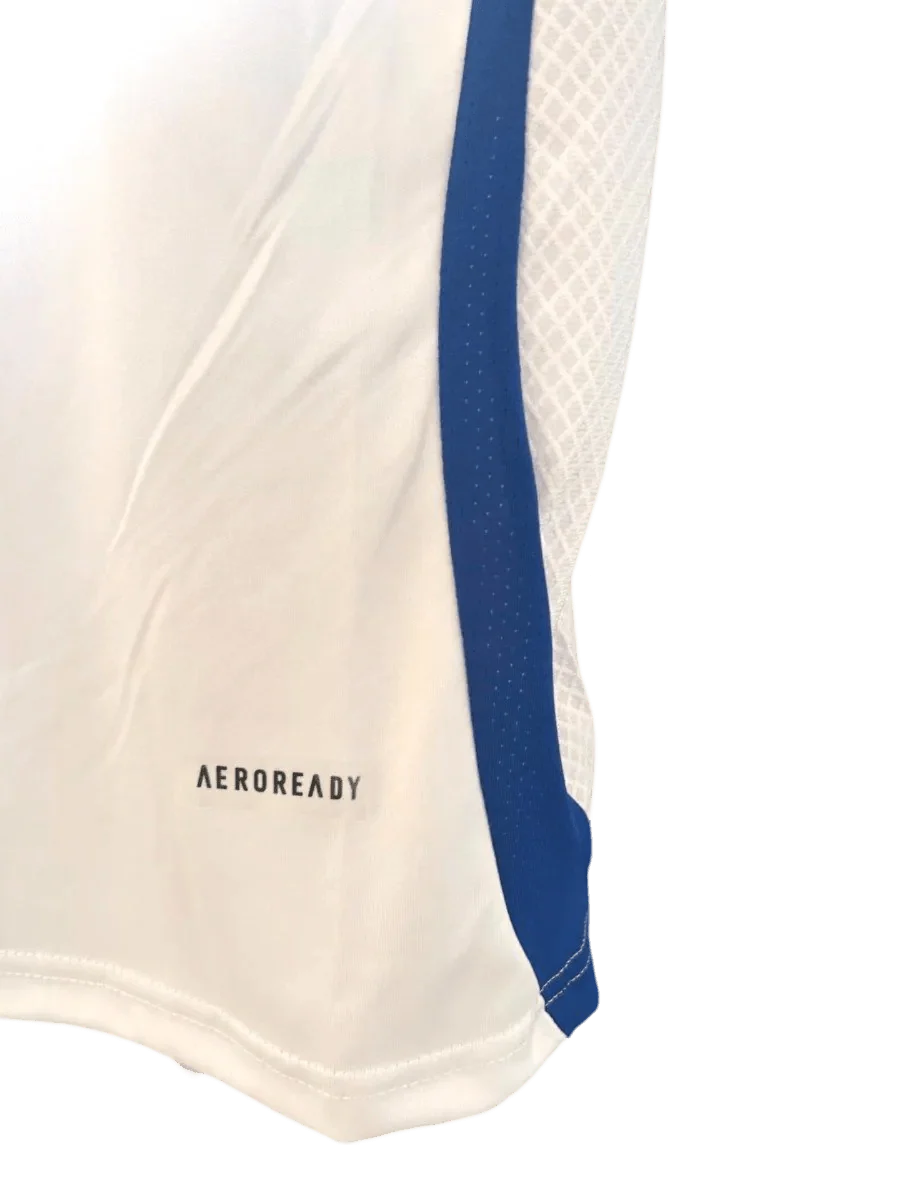 24-25 Olympique Lyonnais Lyon Home kit - Fan version | Cantera
